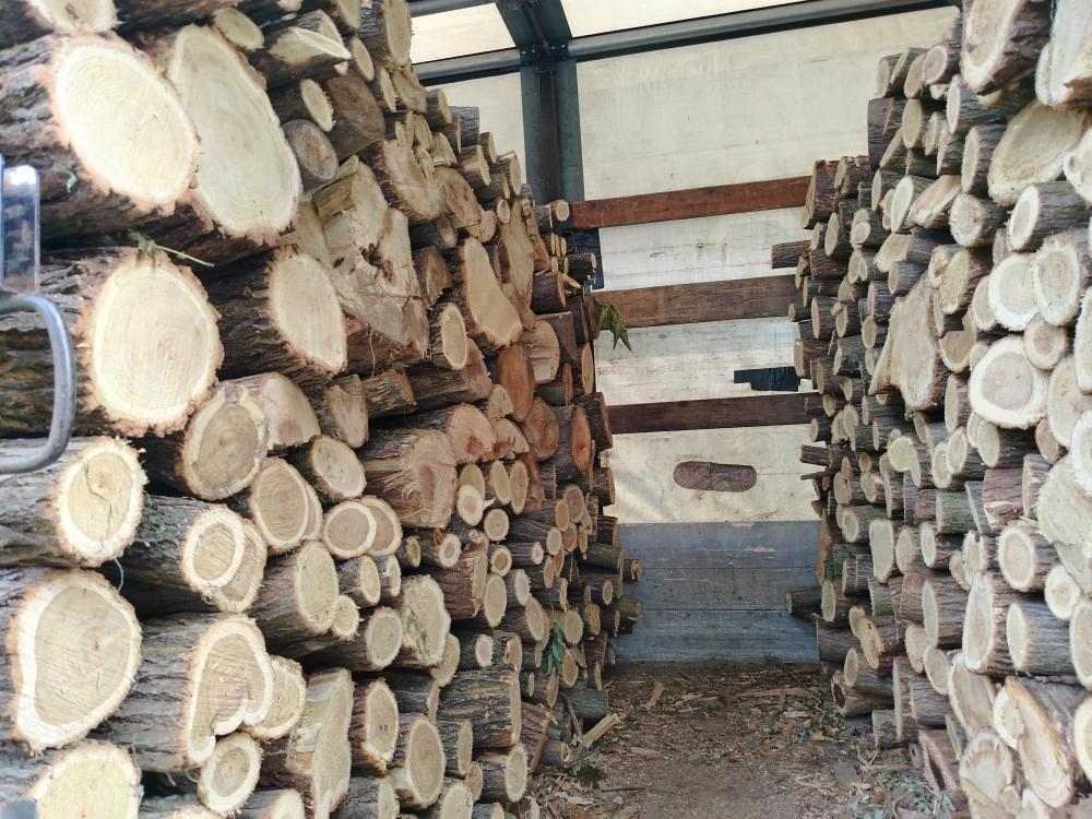 spakovana drva u kamionu